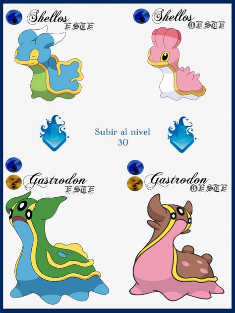 evoluciones de shellos